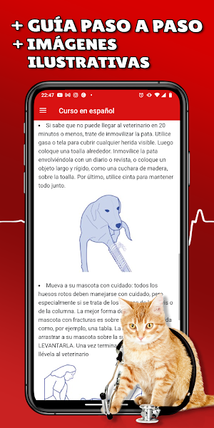 Primeros auxilios para mascota Screenshot 2