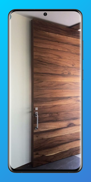 Aesthetic Door Ideas Screenshot 3