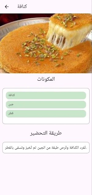 كيتشين وصفات طبخ 2025 Screenshot 1