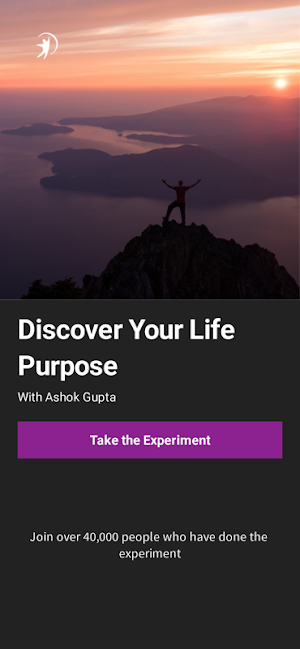 Meaning of Life Experiment Screenshot 1