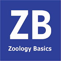 Zoology basics an offline App