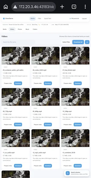 DirectServe: File Transfer Screenshot 2