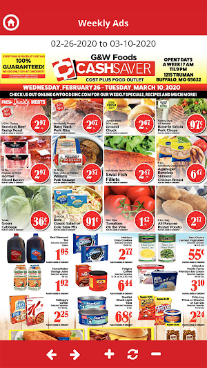CashSaver G&W Screenshot 1