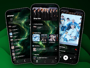 Stray Kids Songs Offline Screenshot 0