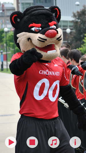 Bearcat Spirit Screenshot 0