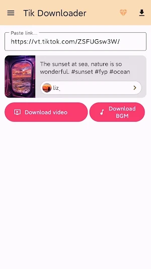 Tik Video Downloader Screenshot 0