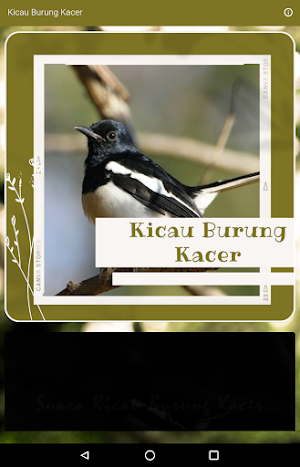 Suara Kicau Burung Kacer Screenshot 0