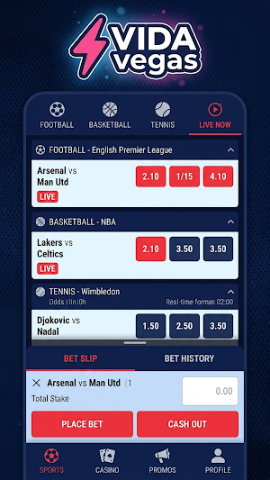 VidaVegas Screenshot 2