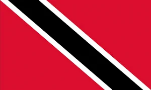 Trinidad & Tobago Analog Watch Screenshot 2