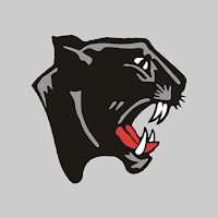 Mountain Grove Schools