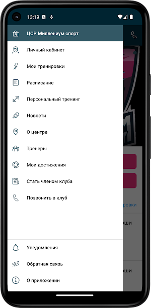 ЦСР Миллениум спорт Screenshot 2