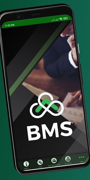 BMSTAX Screenshot 0