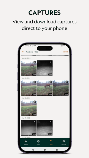 Ursidae Screenshot 3