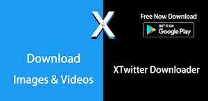 X Twitter Downloader Screenshot 0