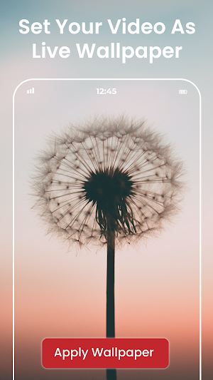 Video Live Wallpaper Maker HD Screenshot 0