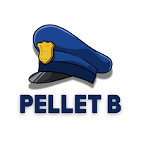 PELLET B Practice Test