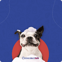 Internacional Pets