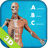 3D Human Anatomy Quiz