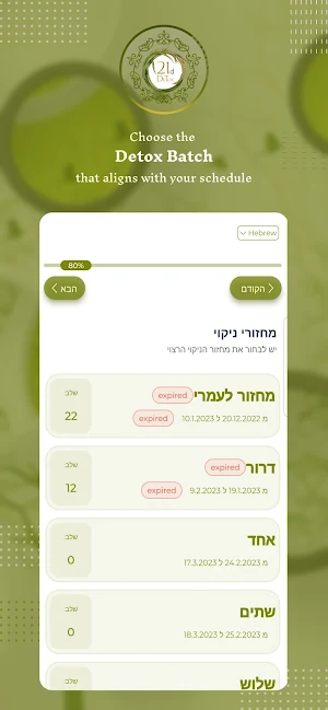 21d Detox Regeneration Screenshot 2