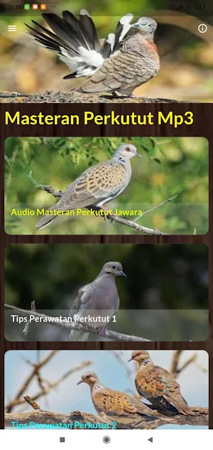 Perkutut Suara Merdu Screenshot 1