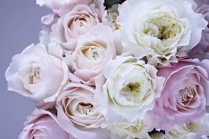 White roses wallpapers Screenshot 1