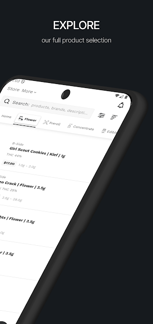 East Leaf Screenshot 2