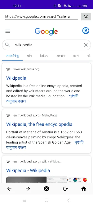 Flash Browser Screenshot 3