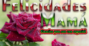 Feliz 10 de Mayo Mamá Screenshot 2