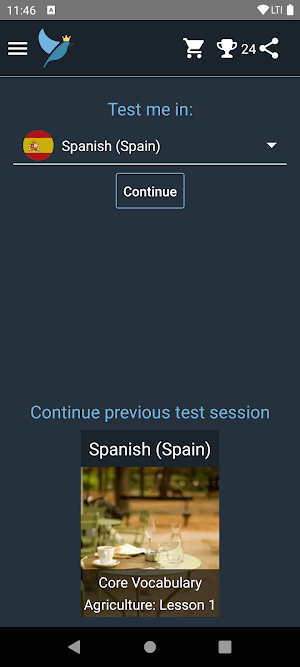 European Spanish Tests Screenshot 0