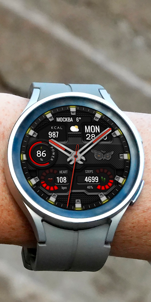 Hybrid TAKTIK WS66 Watch face Screenshot 3