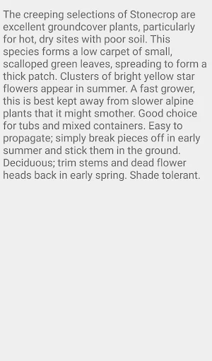Sedum Kamtschaticum Screenshot 1