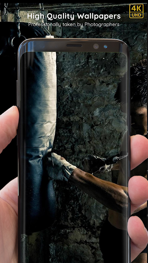 Boxing Wallpapers 8K ULTRA Screenshot 0
