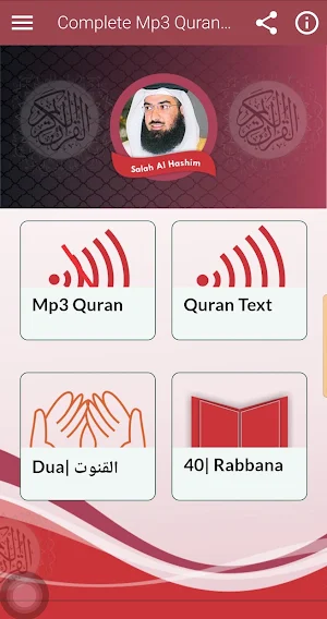 Salah Al Hashem Full Mp3 Quran Screenshot 0