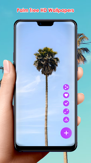 Palm Tree HD Wallpapers Screenshot 0
