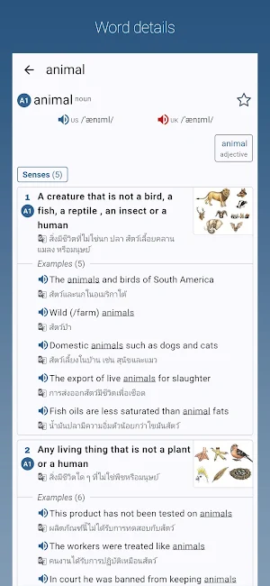 English-Thai Dictionary Pro Screenshot 0