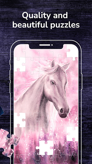 Jigsaw Puzzles Games HD Screenshot 3