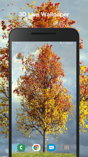 Autumn Maple Live Wallpaper Screenshot 0