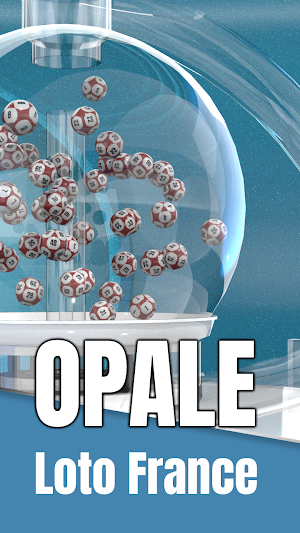 Universal Lottery Machine Screenshot 3