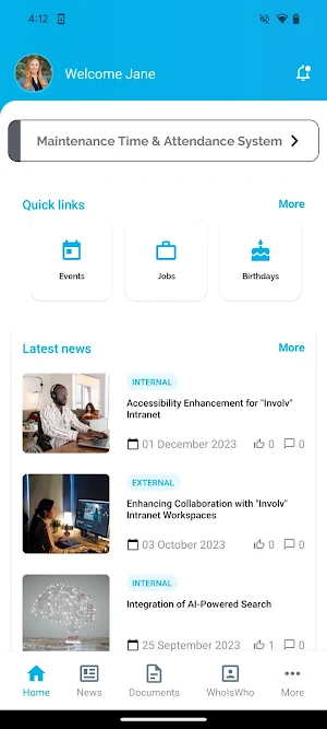 Schilde Intranet Screenshot 0