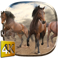 Wild Horses Live Wallpaper