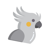 Birds Quiz