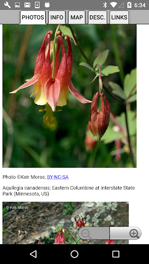 South Dakota Wildflowers Screenshot 3