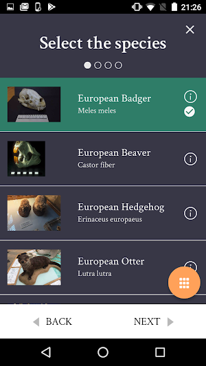 Ancient Animals Screenshot 0
