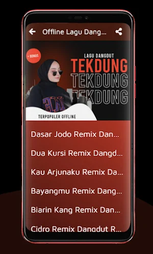 Koleksi Lagu Dangdut Offline Screenshot 2