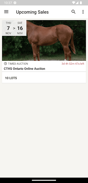 CTHS ONT Auction Screenshot 0