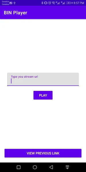 BIN Player Screenshot 3