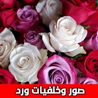 صور وخلفيات ورد رائعة بدون نت