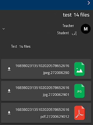 FBIC Screenshot 2