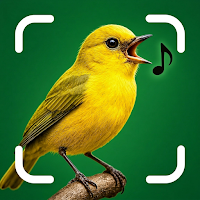 Bird Sound Identifier : BirdID