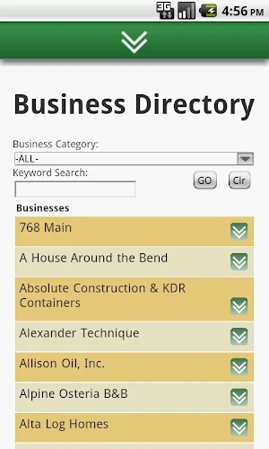 Central Catskill Chamber - NY Screenshot 3